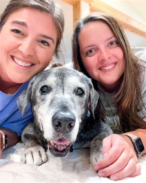 Annie, The Senior Dog, Got A Second Chance At Happiness! – KnovHow