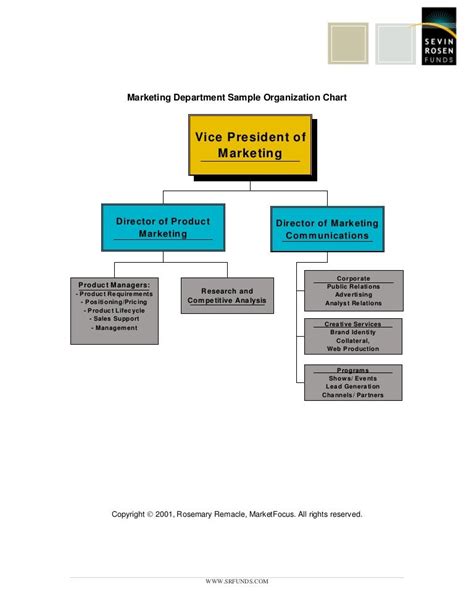 Marketing organization chart