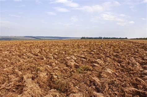 Arable land, prepared in the autumn ... | Stock image | Colourbox