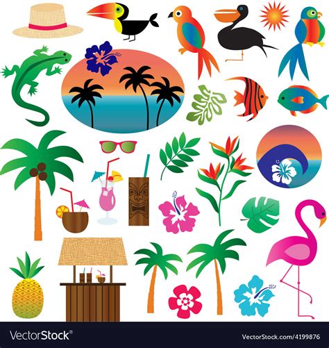 Tropical clipart Royalty Free Vector Image - VectorStock