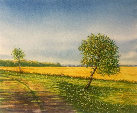 Original Watercolour Painting Summer Field Unframed Landscape - Etsy