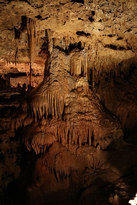 Texas Hill Country Caverns. Inner Space Cavern. Georgetown… | Flickr