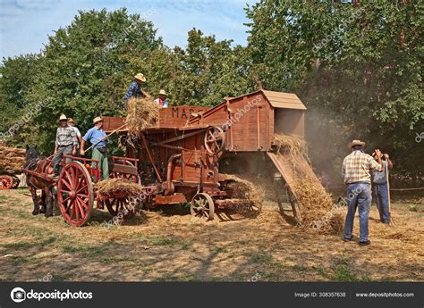 Wheat threshing with ancient equipment during the country fair – Stock ...