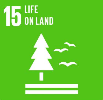 Dar Si Hmad for Development, Education and Culture: SDG #15: Life on Land