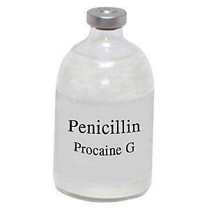 Procaine Penicillin G - KVSupply.com