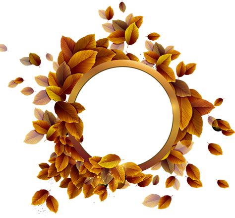 Floral Round Frame PNG | PNG All
