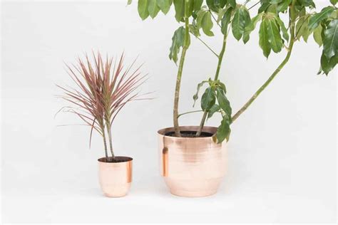 Modern Copper Planter 16"