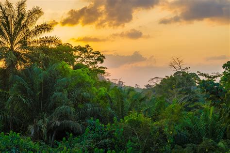 Tiempo Po-River - Liberia (Sinoe County) : prevision meteorologica gratis de 15 días - La Chaîne ...