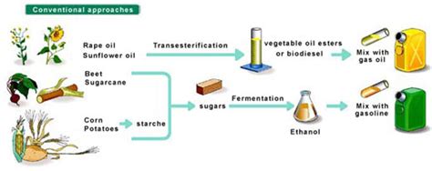 Bioenergy: Refueling the Future