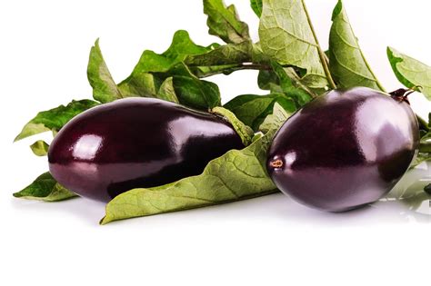 Free photo: Eggplant, Leaves, Vegetables - Free Image on Pixabay - 1659784