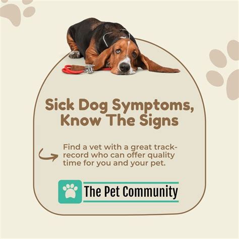 sick as a dog meaning origin | Sick dog, Sick dog symptoms, Dog treatment