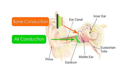 Bone Conduction Tech: How It Works and Where It's Being Used - Make Tech Easier