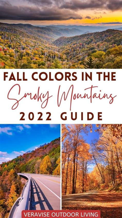 Fall Colors Smoky Mountains 2022