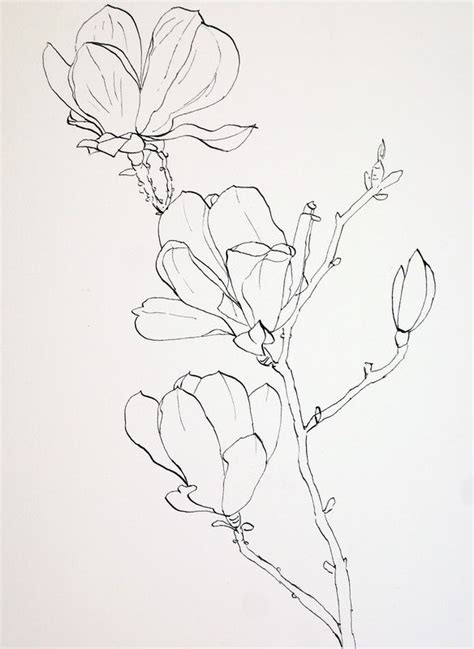 Ink Drawings Of Flowers at PaintingValley.com | Explore collection of ...