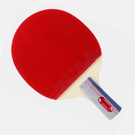 Butterfly 401 Table Tennis Racket online in Pakistan - ZARA SPORTS