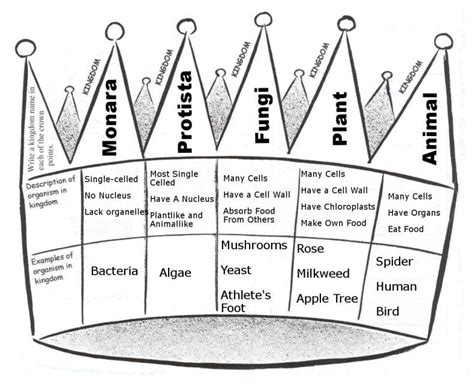 The Six Kingdoms Worksheet