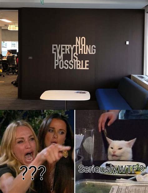 Nothing is possible , Everything is impossible . : memes