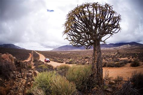 Beat the Blooms: Namaqua Coastal Route - SA 4x4