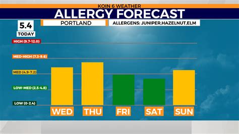 Allergy forecast: How the weather impacts the pollen | KOIN.com