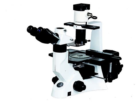 BIM500FL Inverted Fluorescence Microscope with 40x-400x magnification