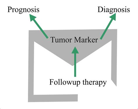 Tumor Marker – Part 2 – Markers for Various Organs tumors and Monoclonal markers – Labpedia.net