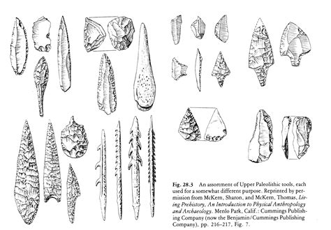 Paleolithic Tools