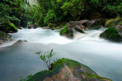 Hiking Tour in Tenorio Volcano National Park | alldailytours.com