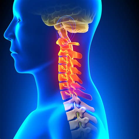 Why a Healthy Spine Makes Your Brain Happy | Radiant Life Chiropractic