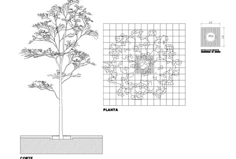 Tree plan detail dwg file. - Cadbull