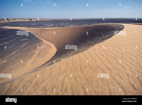 Barchan or crescent shaped transverse sand dunes in stony desert near North Horr Northern Kenya ...