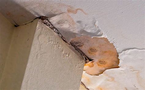 How to Get Rid of Mould in House: Ways, Tips & More | dubizzle