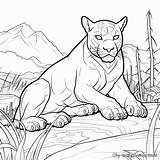 Black Panther Animal Coloring Pages  Free & Printable sketch template