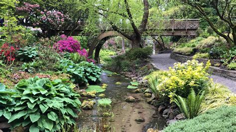 Crystal Springs Rhododendron Garden Birds | Fasci Garden