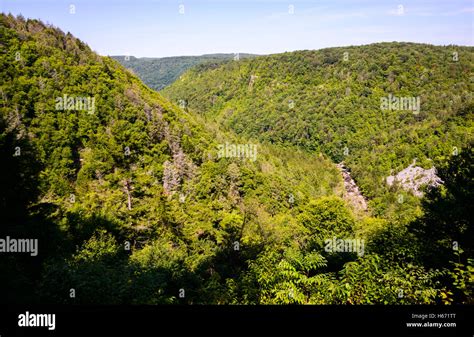 Blackwater Falls State Park Stock Photo - Alamy