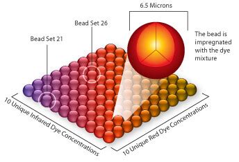 Luminex Multiplex technology: why so trendy? | Labclinics