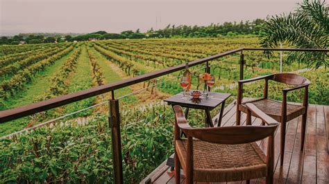 Stay With Us - Resorts in Nashik | Sula Vineyards