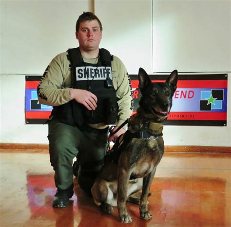 Police Service Dogs For Sale | Police K9's For Sale to Law Enforcement ...