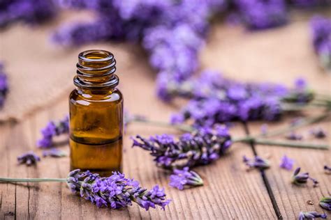 I Started Using Lavender For Stress Relief | Reader's Digest