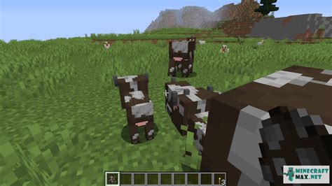 Cow Spawn Egg | How to craft cow spawn egg in Minecraft | Minecraft Wiki