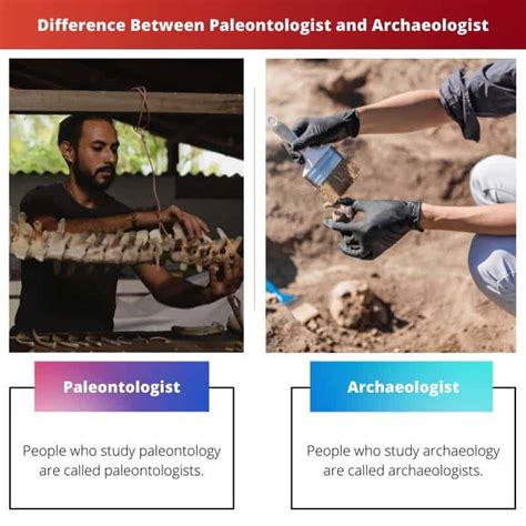 Difference Between Paleontologist and Archaeologist