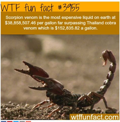 Pin By Strangelee Rose On Heroism With A Touch Of Funny Wtf Fun Facts ...