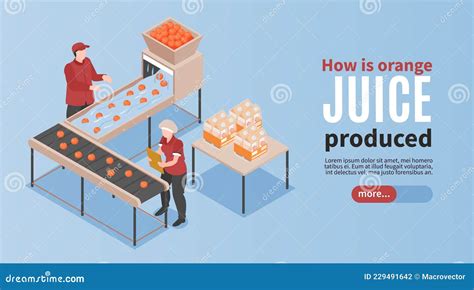 Orange Juice Production Composition Stock Vector - Illustration of ...