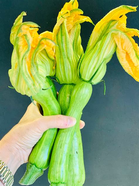 All you ever wanted to know about zucchini flowers