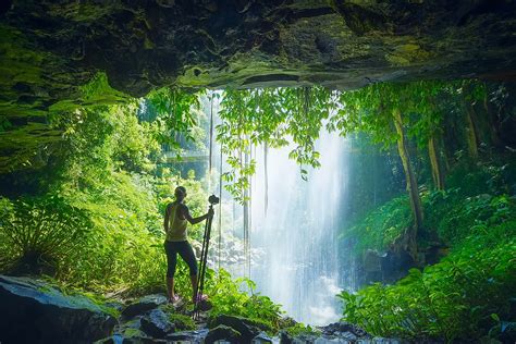 Gondwana Rainforests - WorldAtlas