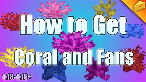 Easy way to Farm CORAL FANS and CORAL | Tutorial | Minecraft Java - YouTube