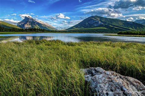 Vermilion Lakes Photograph by Thomas Haskett - Fine Art America