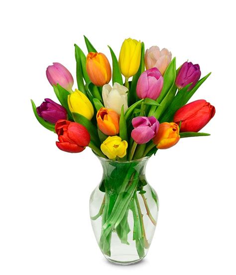 15 Stem Rainbow Tulips at From You Flowers