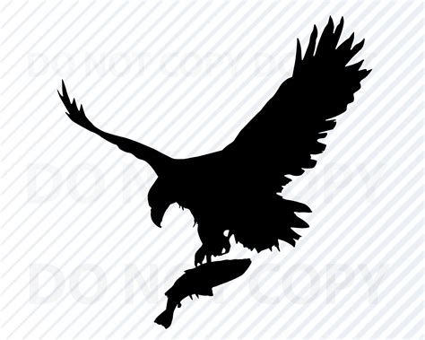 Cricut Eagle silhouette eagle head Cut file cutting file PNG Clip art JPG SVG Vector Papercraft ...