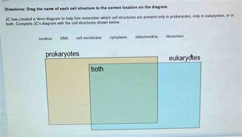 Solved: Directions: Drag the name of each cell structure to the correct location on the diagram ...