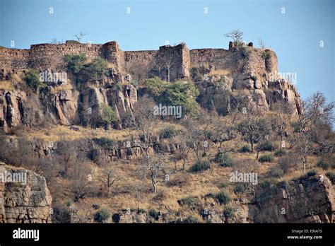 Ranthambore Fort in Ranthambore National Park, India Stock Photo - Alamy